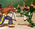 Capoeira Fighter 3